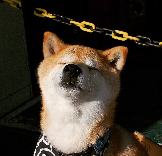 九游官网主页-_网球运动员慈善赛事：用比赛传播爱心_，赞助网球的运动品牌