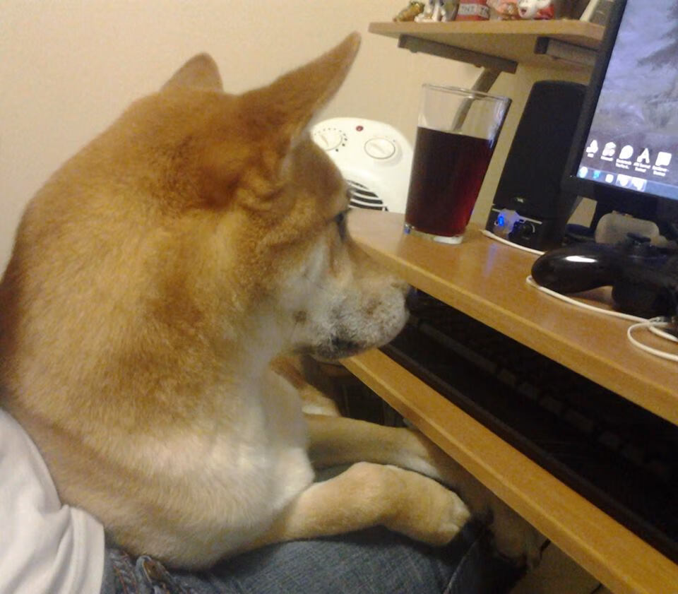 “战术奇招频出，记录刷新，比赛精彩不可复制”，战术合集