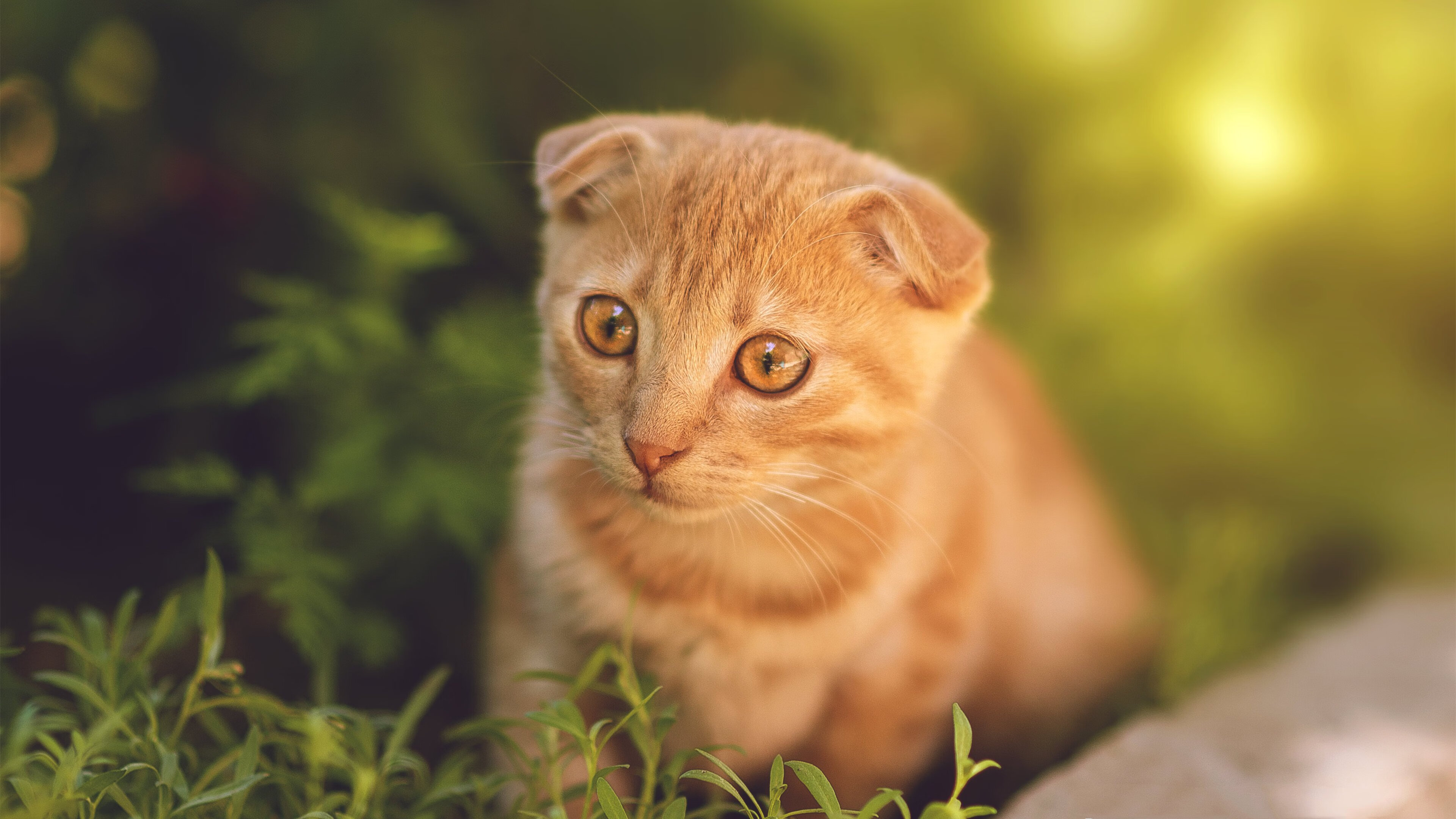 关键封盖：李磊最后封堵对手的必杀球！