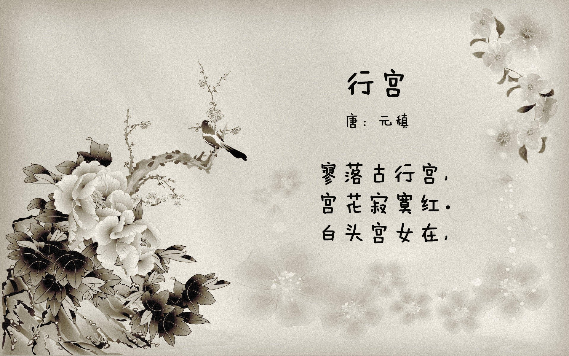 九游app下载中心-卓尔杯青少年篮球赛事在云南隆重举行，助力区域体育振兴，卓尔俱乐部赛程