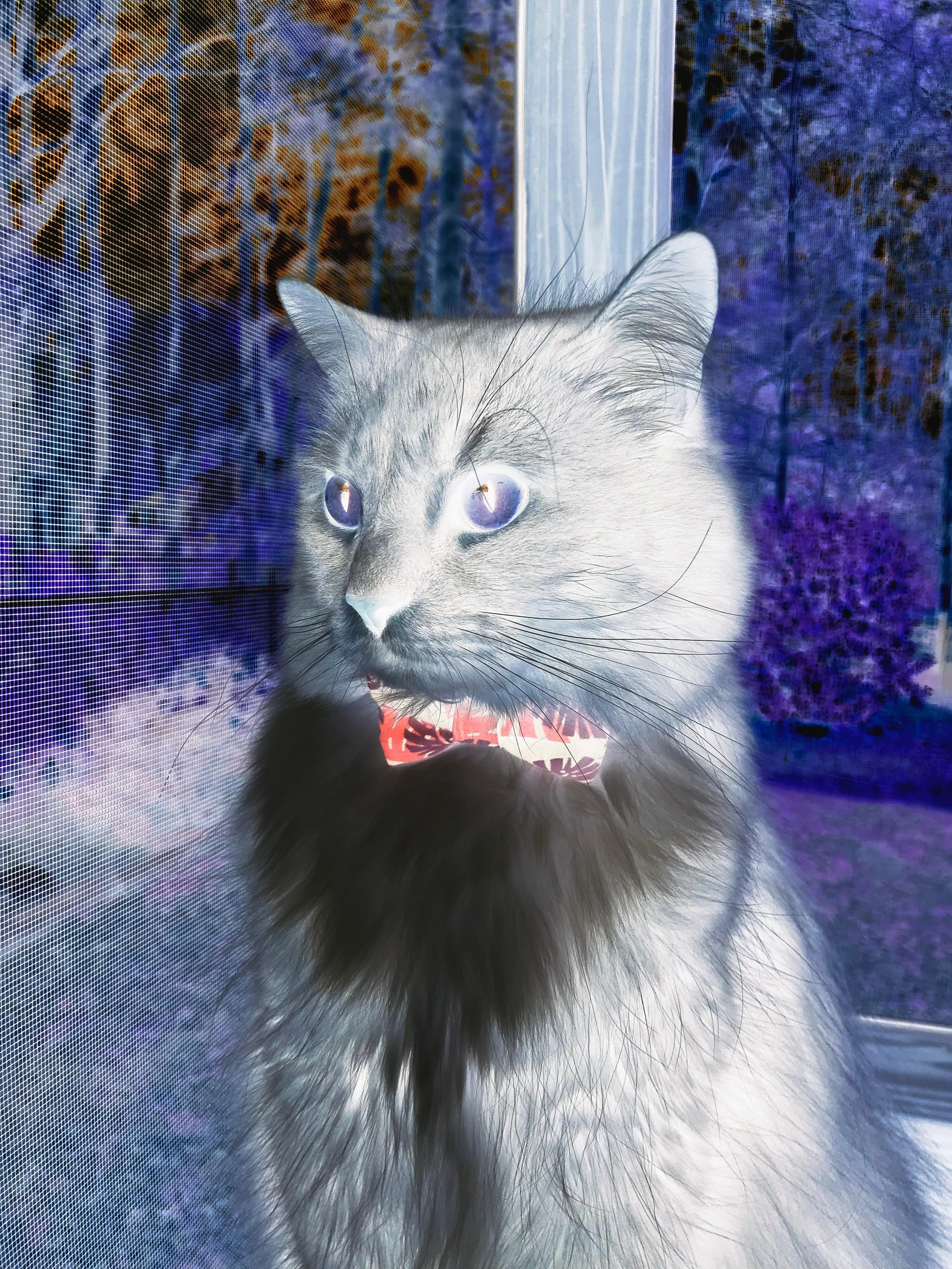 女子网球公开赛中国选手表现突出，晋级八强，女子网球职业赛事