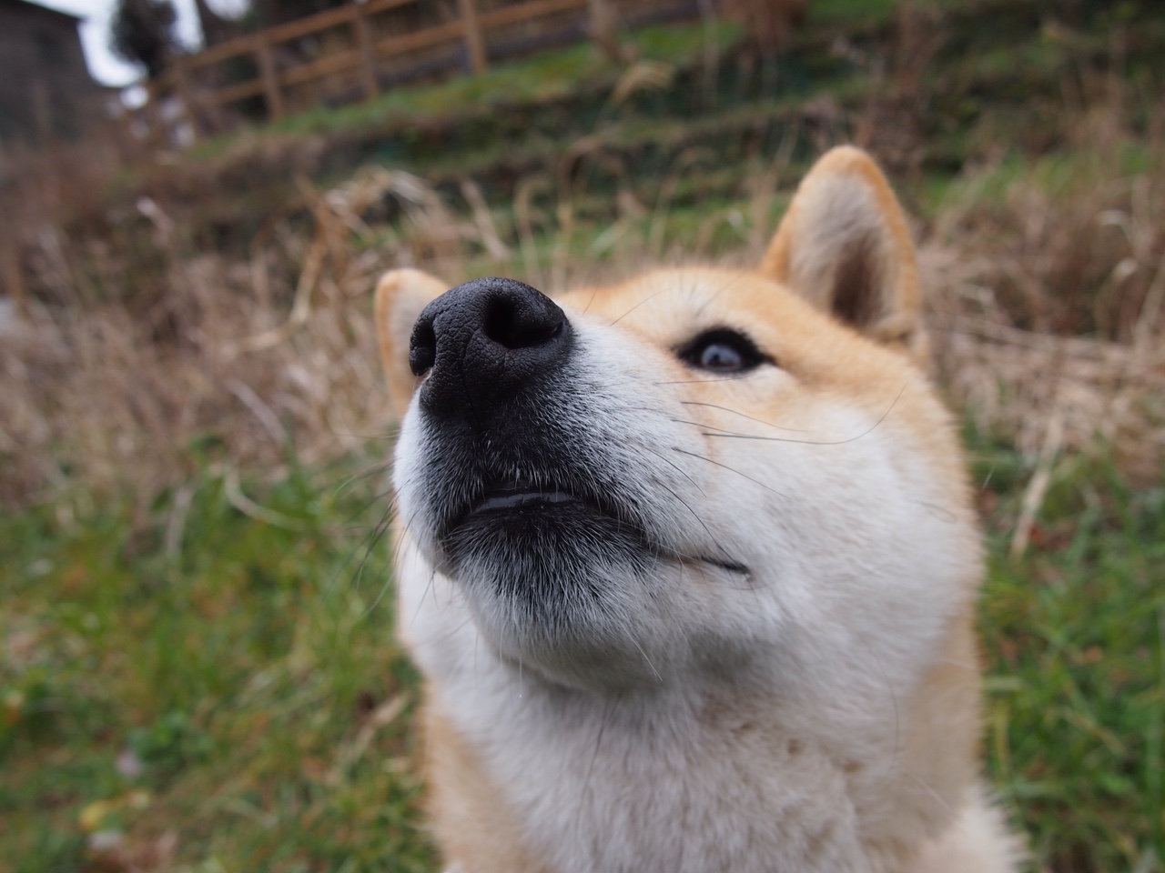 九游娱乐官网 (jiuyou)-拉齐奥3-2国际米兰，奥斯梅恩和库卢塞夫斯基划破对手防线，拉齐奥vsac米兰比赛结果