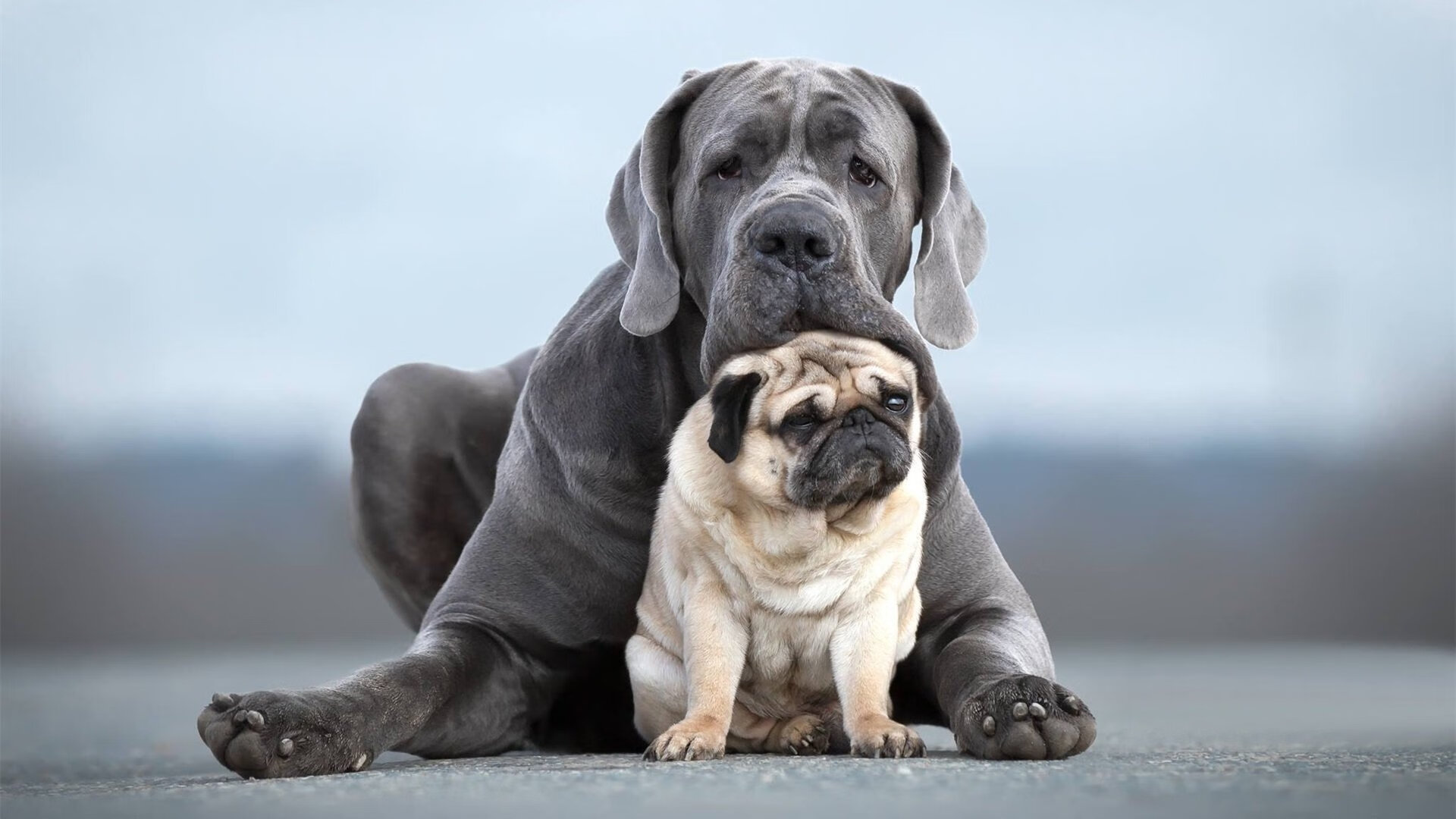 九游登录入口-利物浦主场迎战沃特福德，犀利进攻难敌，利物浦主场迎战沃特福德,犀利进攻难敌的原因