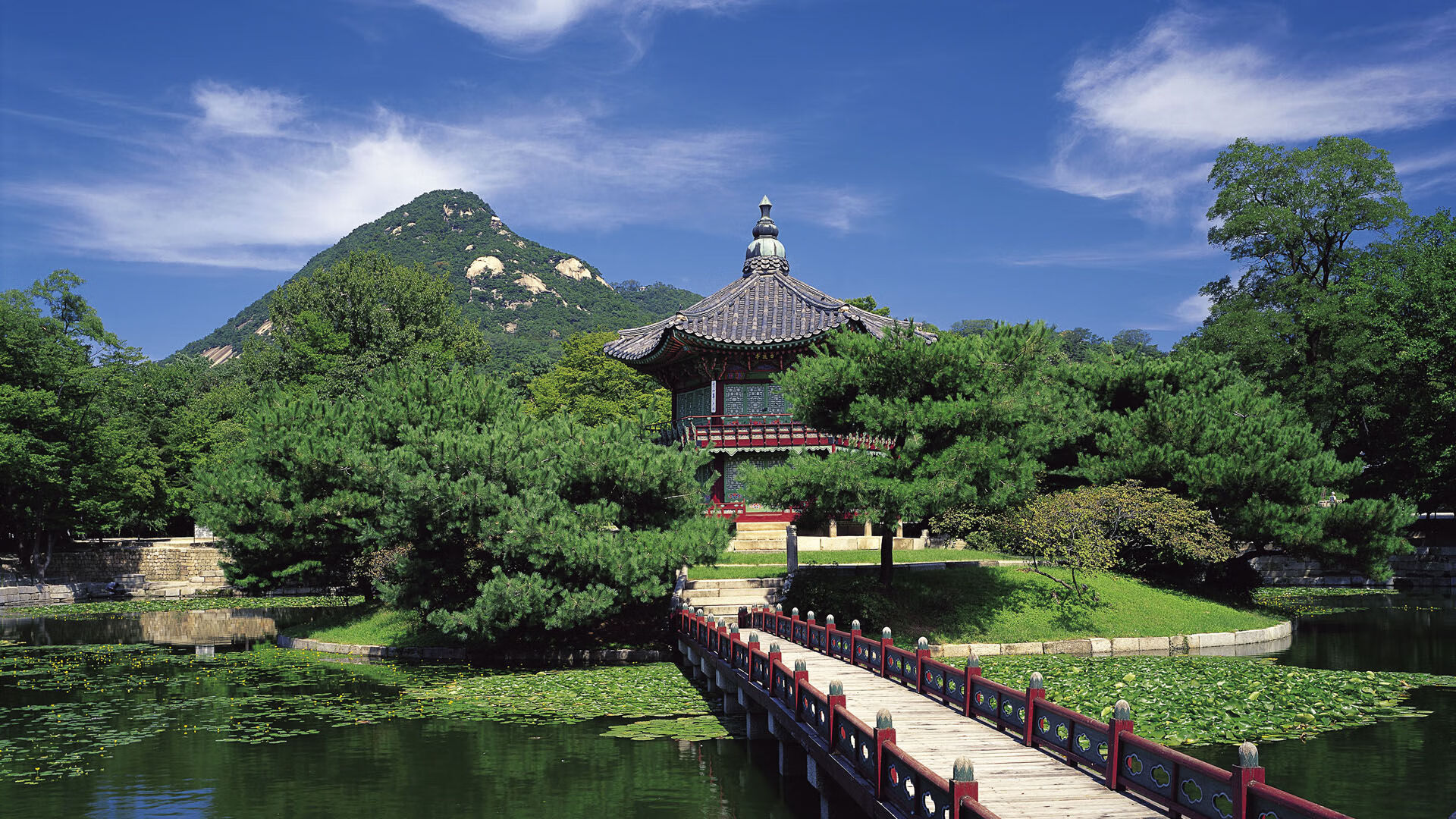 九游(jiuyou)官方网站-日本马术协会推出青少年马术培训计划，培养未来骑手。，日本马术障碍