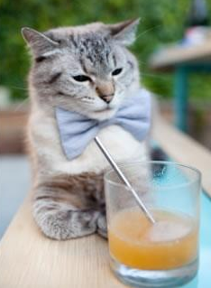 九游jiuyou-江西联盛队迈向胜利，实力愈发强大，江西联盛新队名