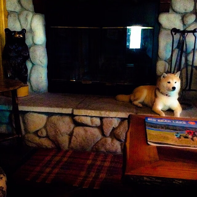 九游游戏中心-沃特福德客场不敌对手，保级形势雪上加霜，沃特福德联足球俱乐部