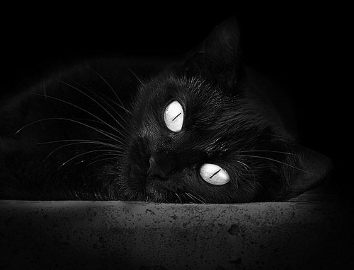 九游网游官网-瑞士队豪取欧国联胜利，引领全面优势，欧冠瑞士队