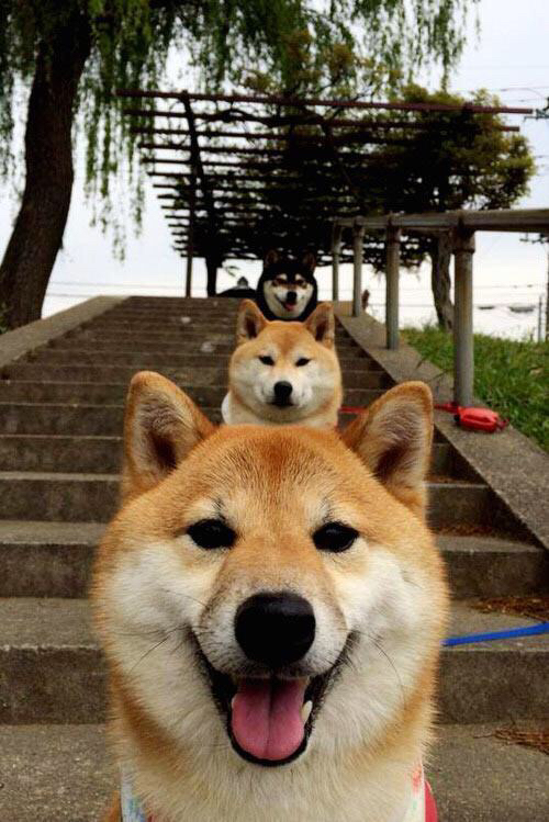 九游登录入口-职业篮球运动员体能训练，篮球运动员体能训练内容