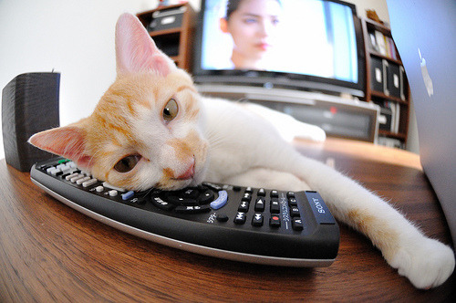 九游app下载中心-足球比赛中哪支球队将会获得胜利？，足球比赛哪个最有含金量