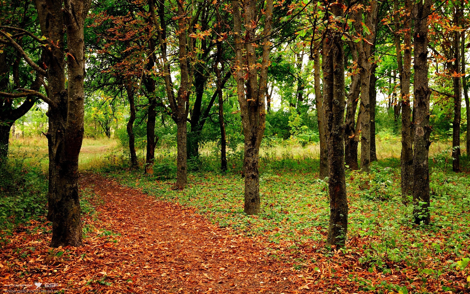 九游官网主页-足球比赛中哪支球队将展现出全新的面貌？，足球队伍