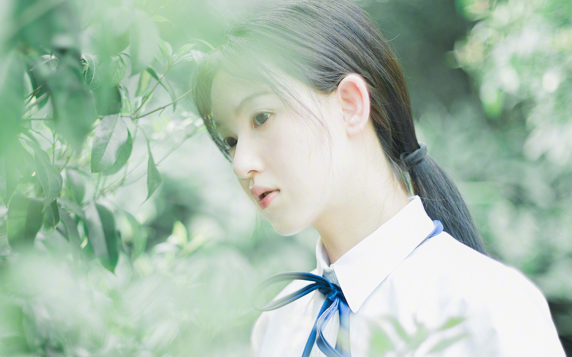 NBA球员职业规划建议,nba球员的职业年限