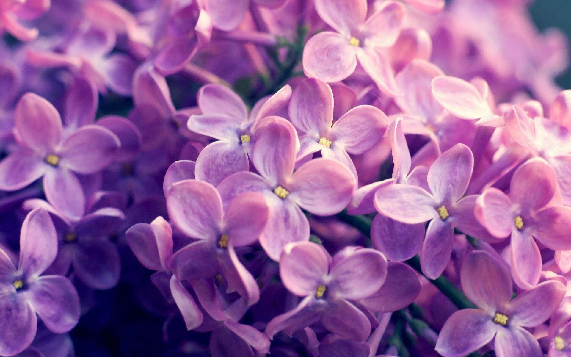 CBA联盟加速数字化进程推动全方位升级，cba 联盟