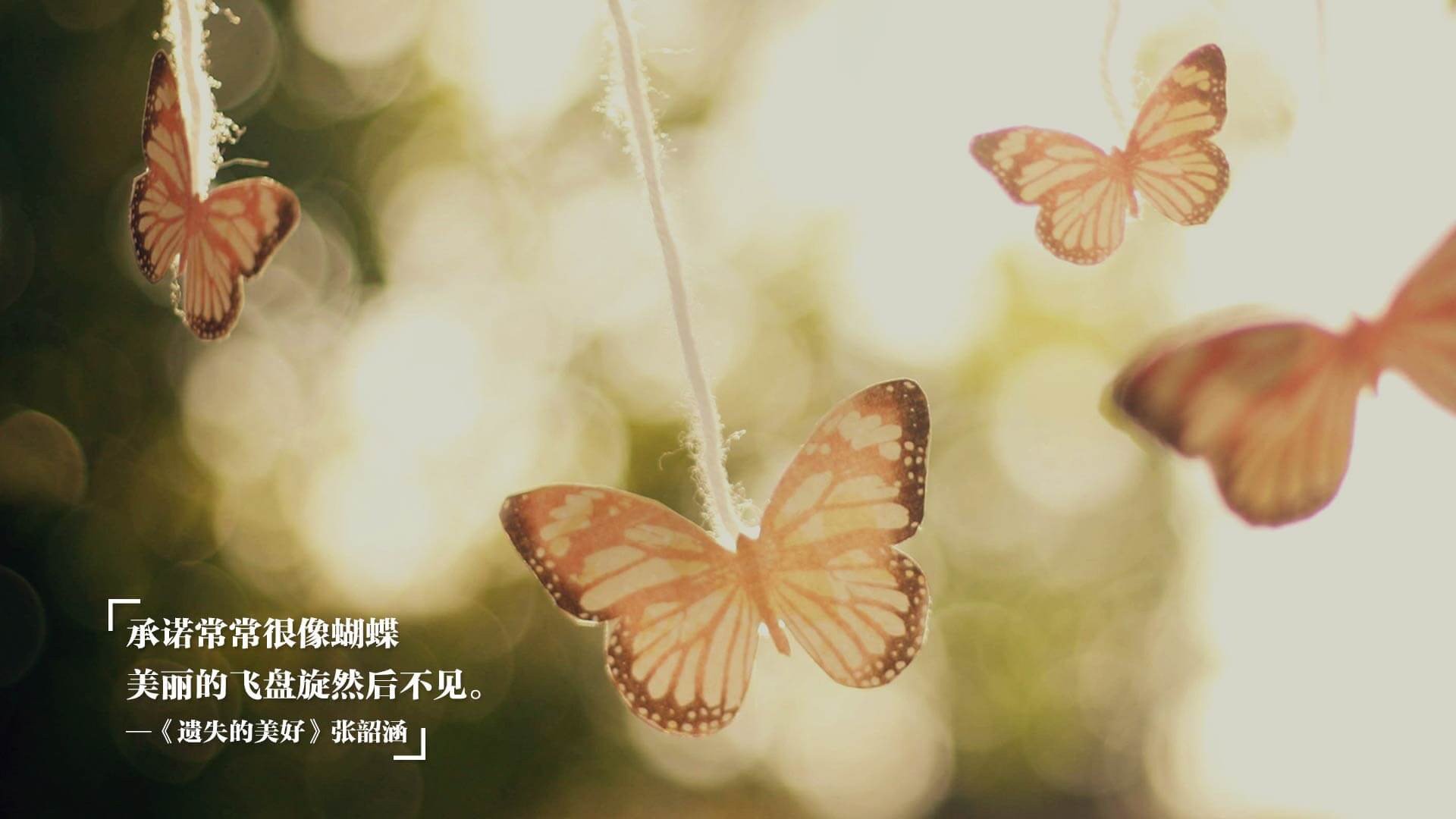 CBA联盟聚焦青少年篮球人才培养模式创新，青少年篮球后备人才