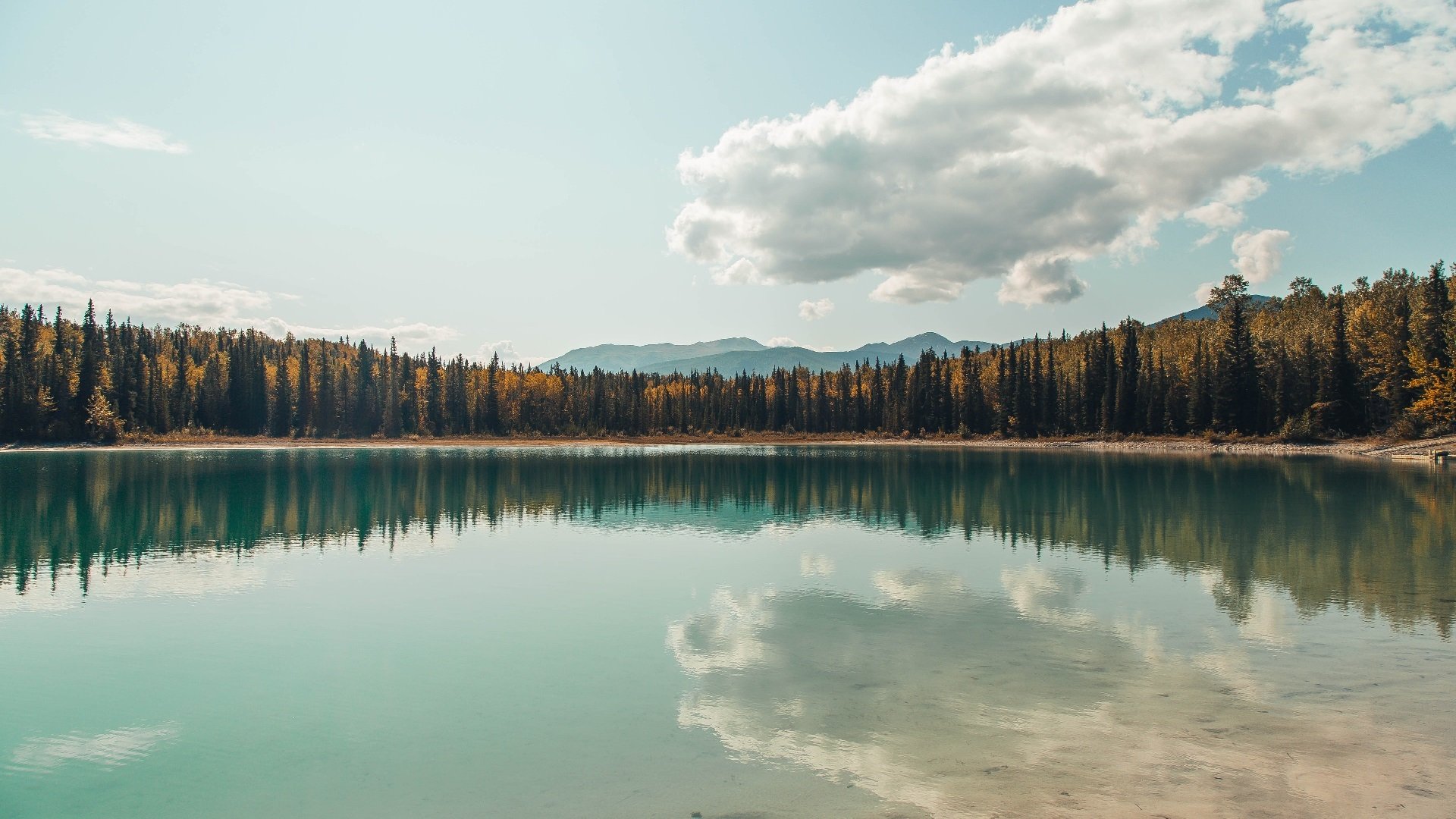 女子马拉松全国冠军赛湖南站激情开跑，女子马拉松冠军中国
