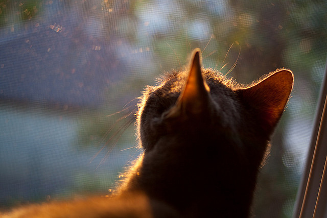 青少年赛事体系不完善，青少年比赛年龄限制