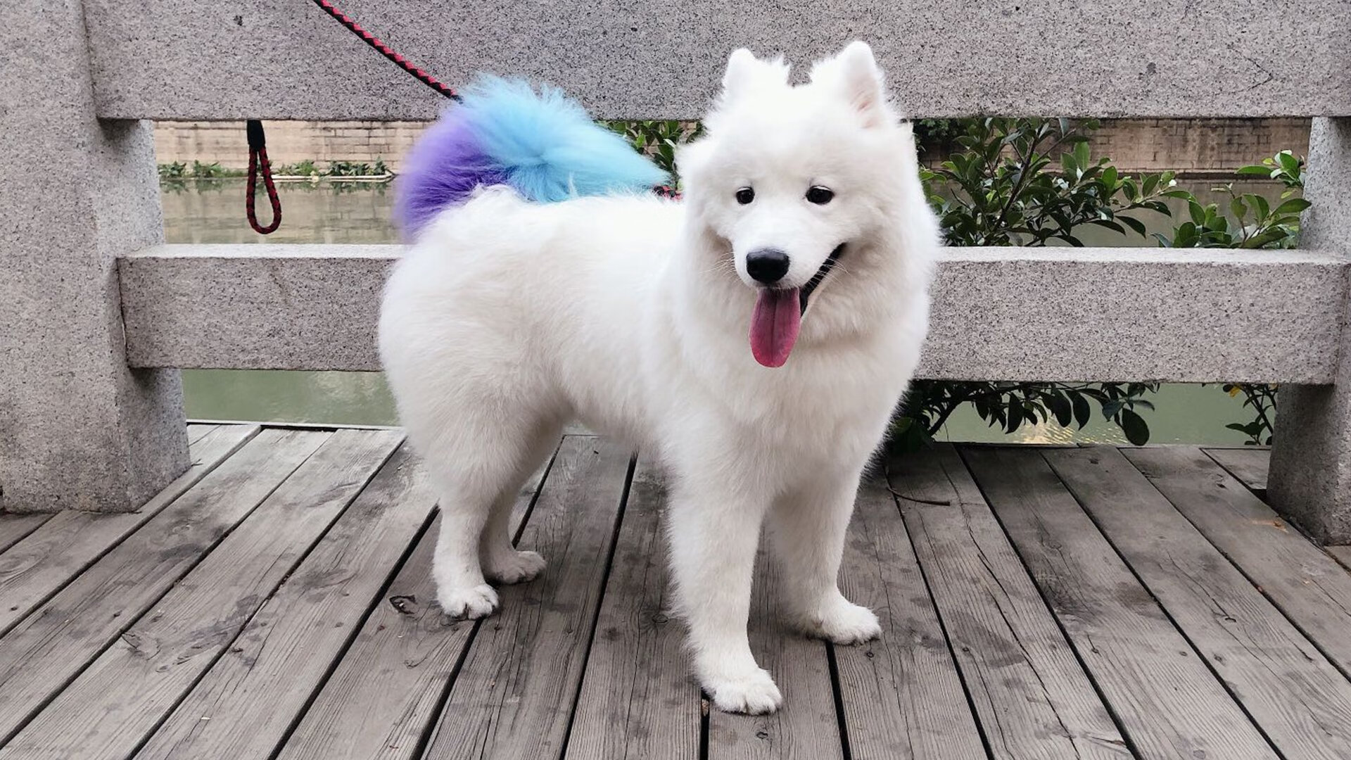 马拉松赛事多城联动提升品牌效应，城市马拉松排名