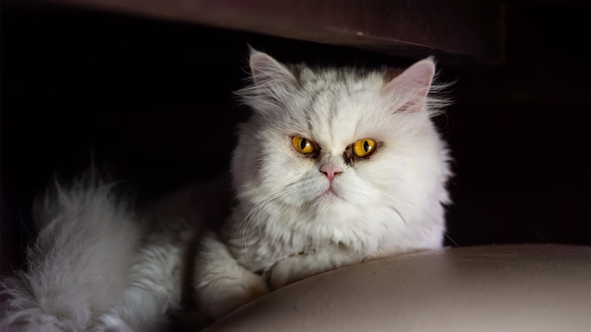 九游娱乐中心-中超赛程优化方案出台合理分配高强度对抗场次，中超联赛分析