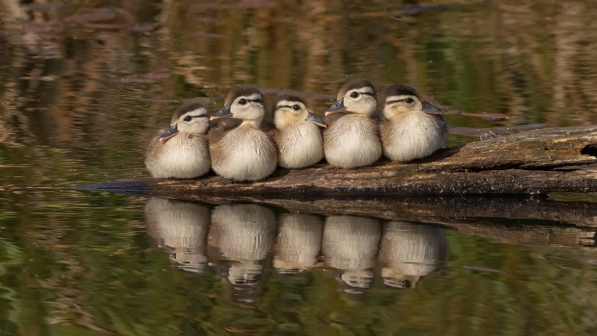 接力换人传接动作细节改进,接力切换