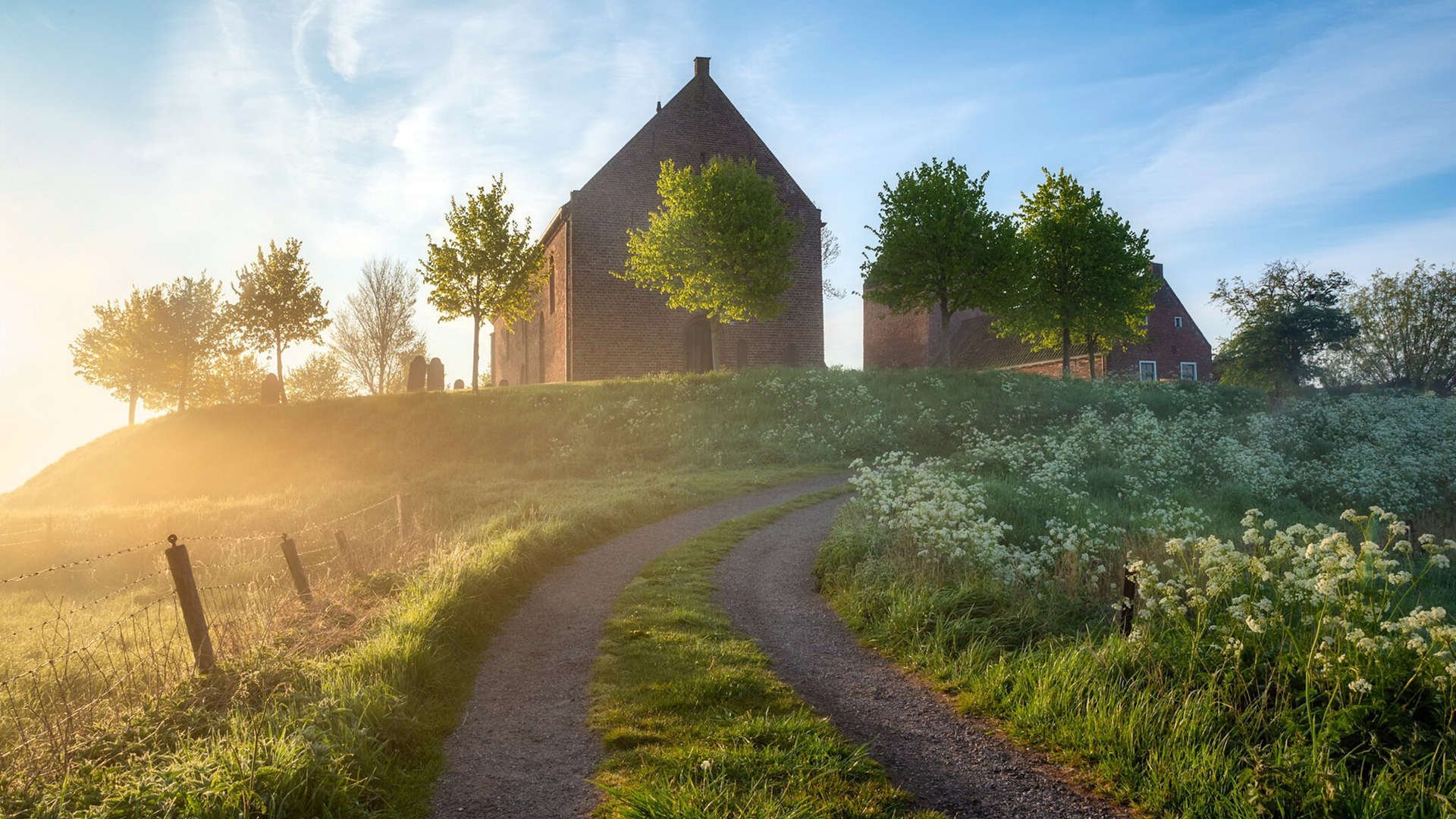 未来足球比赛场馆融入创新生态系统,打造绿色可持续典范,足球场馆建设