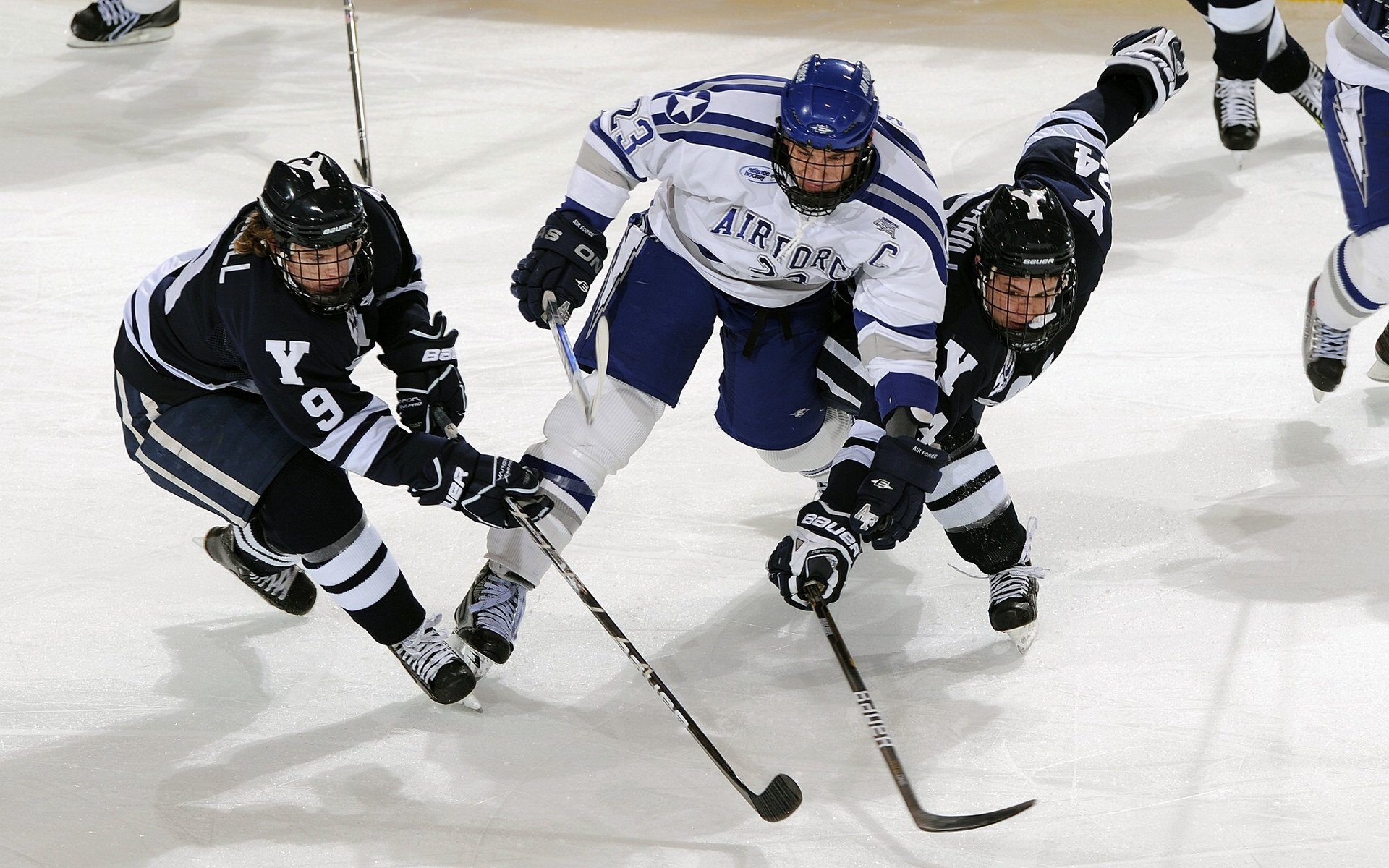 “高新体育中心武术赛：选手瞬间爆发，精彩技巧瞬间击倒对手”