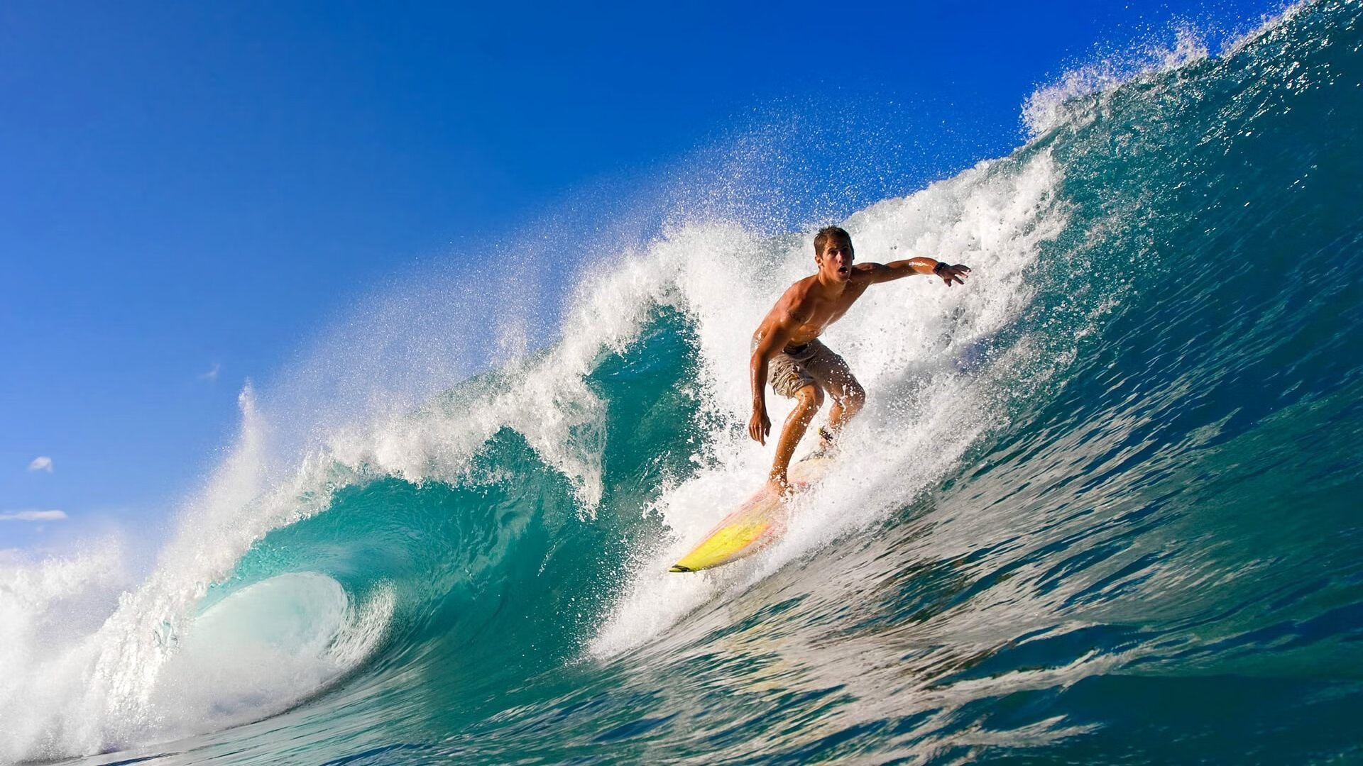 美澳蝶泳划频与配速同步性更强